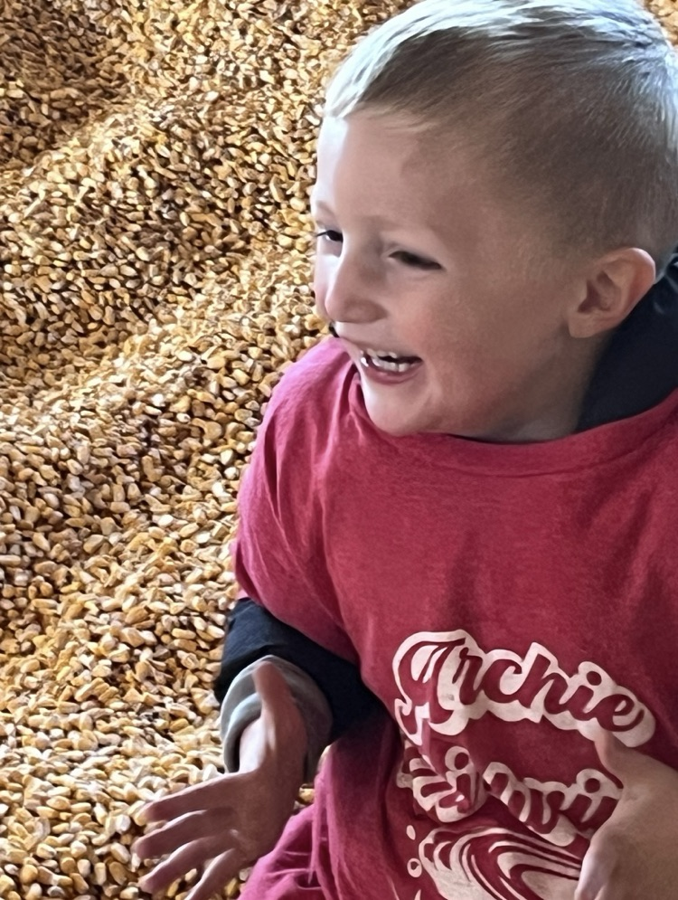 preschool field trip 