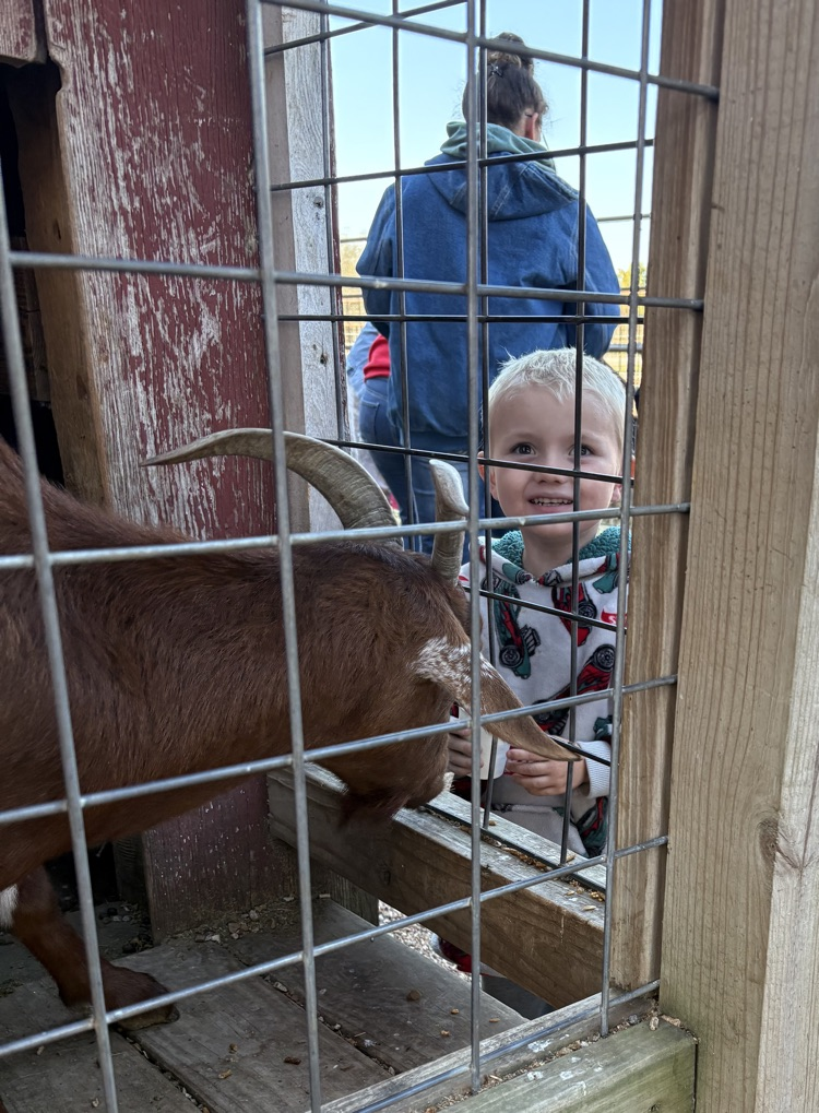 preschool field trip 