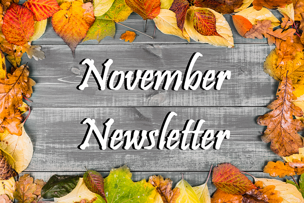 NOvember NEwsletter