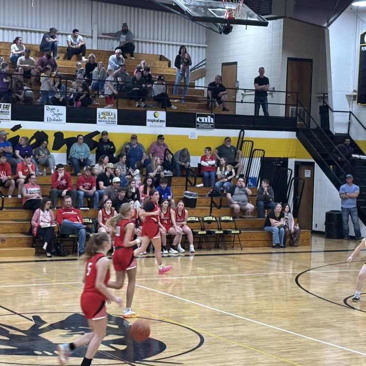 Lady Whirlwind Basketball