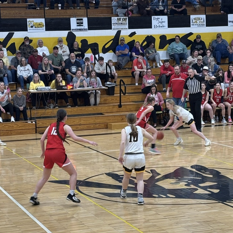 Lady Whirlwind Basketball