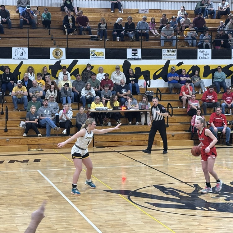 Lady Whirlwind Basketball