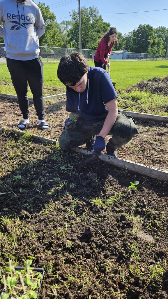 Jbar planting toma
