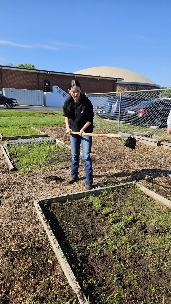 Vega working to loosen up soil