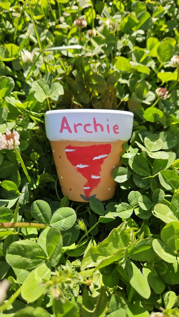 Archie flower pit