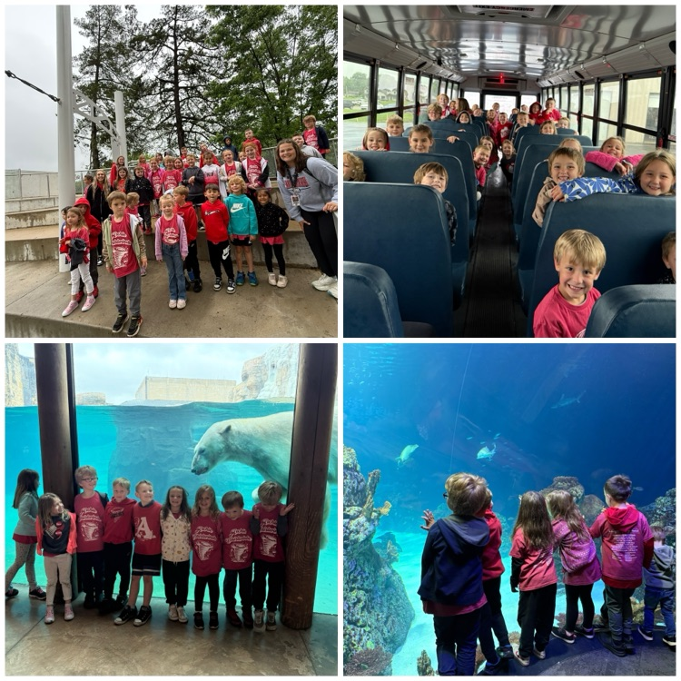 zoo