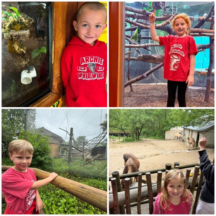 zoo