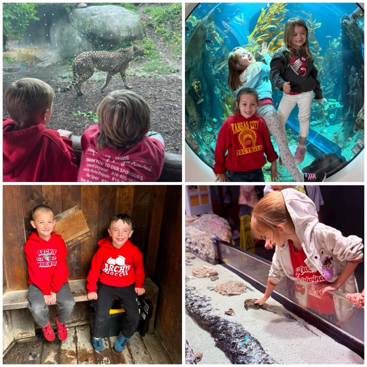 zoo
