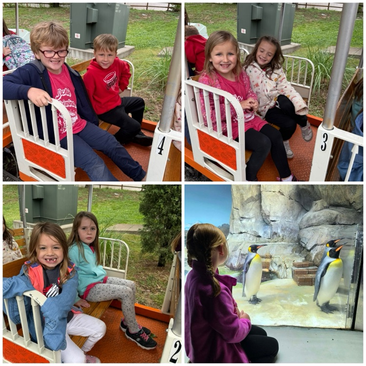 zoo