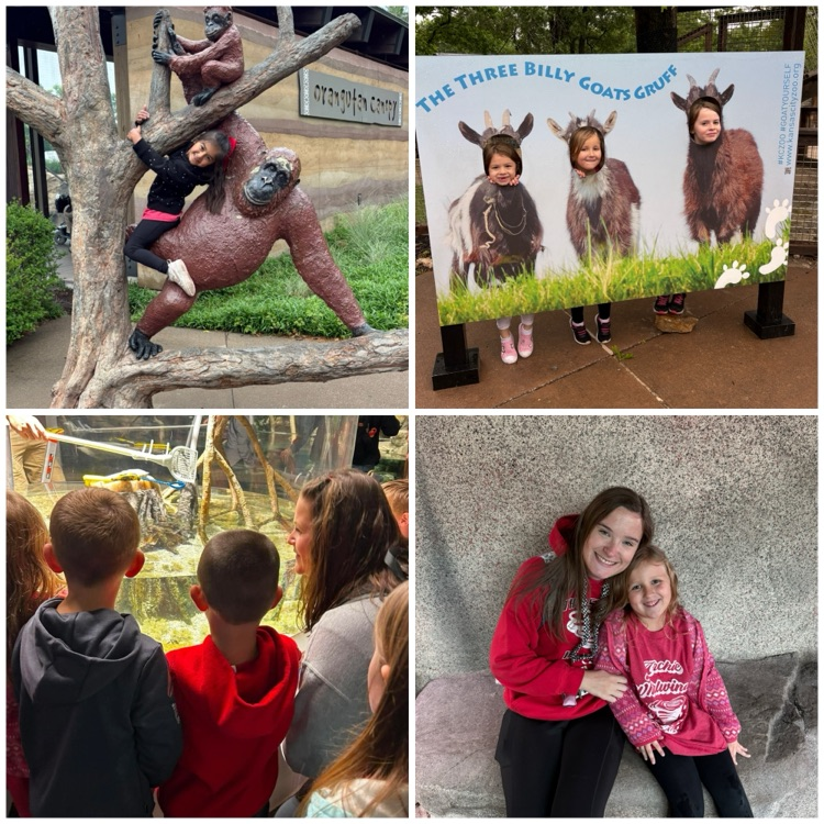 zoo