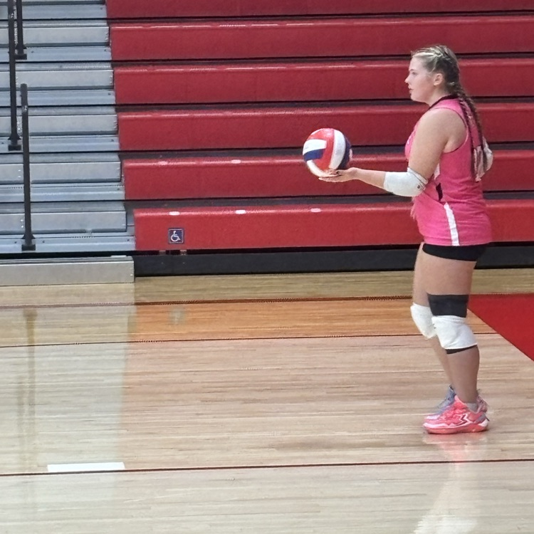 VB