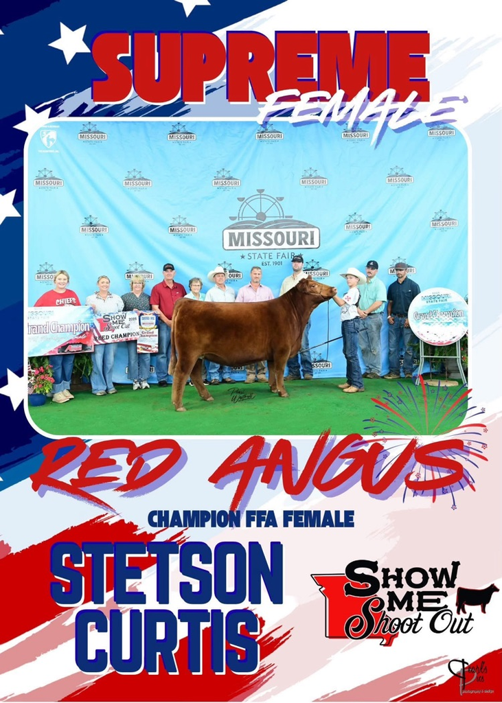 Stetson Curtis
