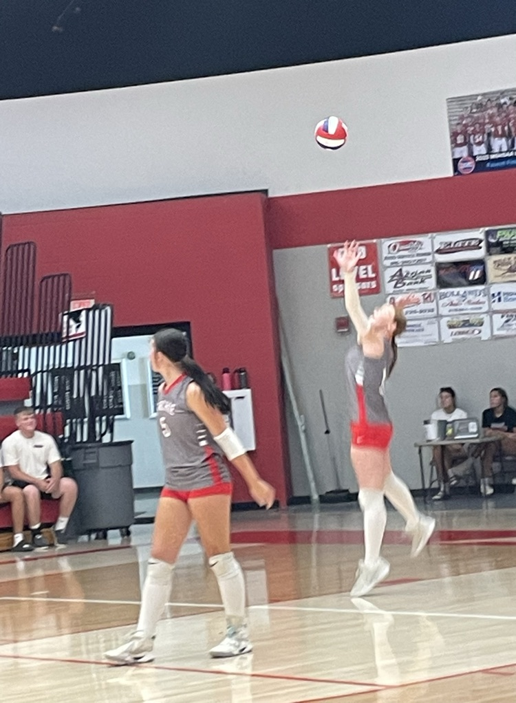 vb