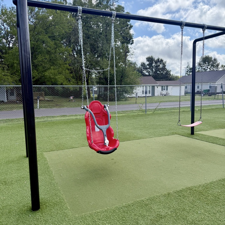 accessible swing 