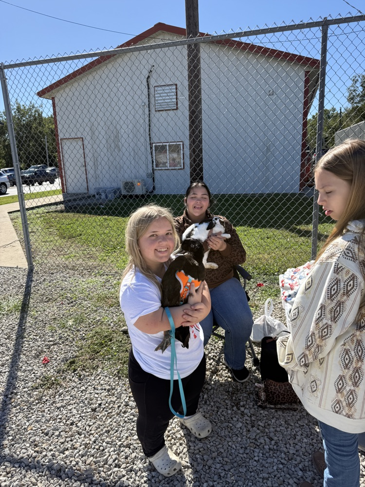 FFA Day