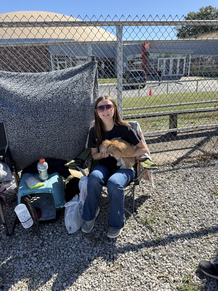 FFA Day 