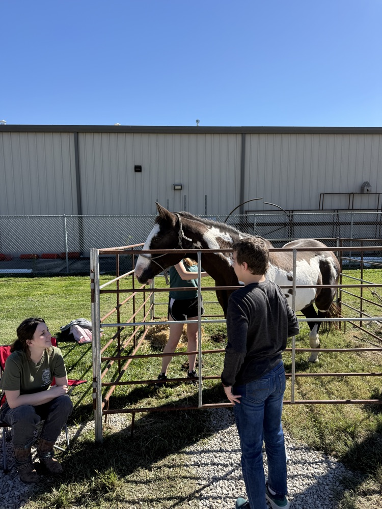 FFA Day