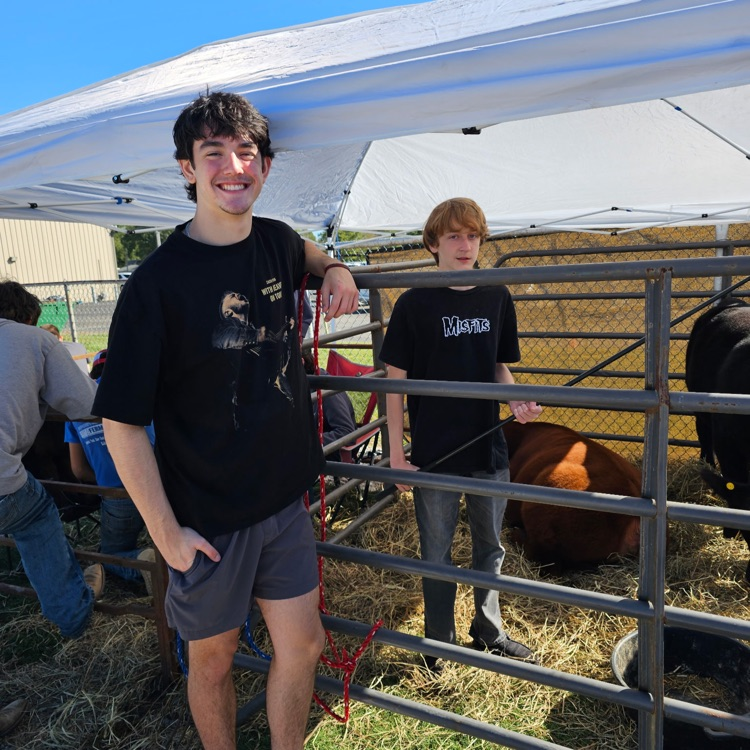 high school students presenting about a cow 