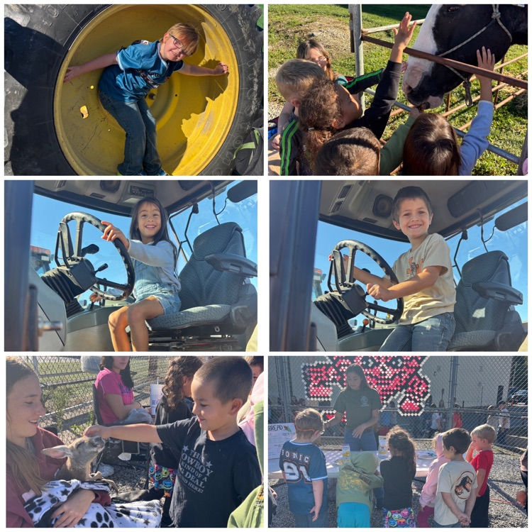 collage of kids at FFA day 
