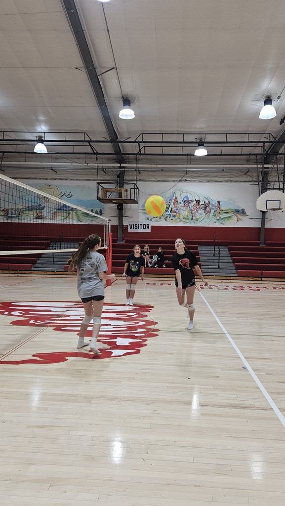 volleyball 