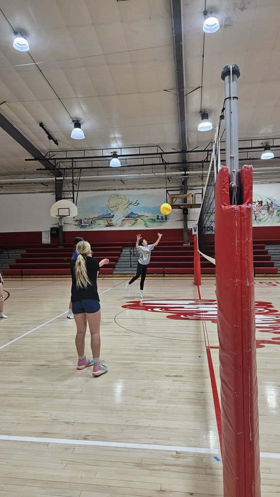 volleyball 