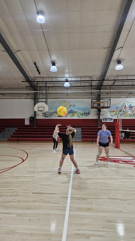 volleyball 