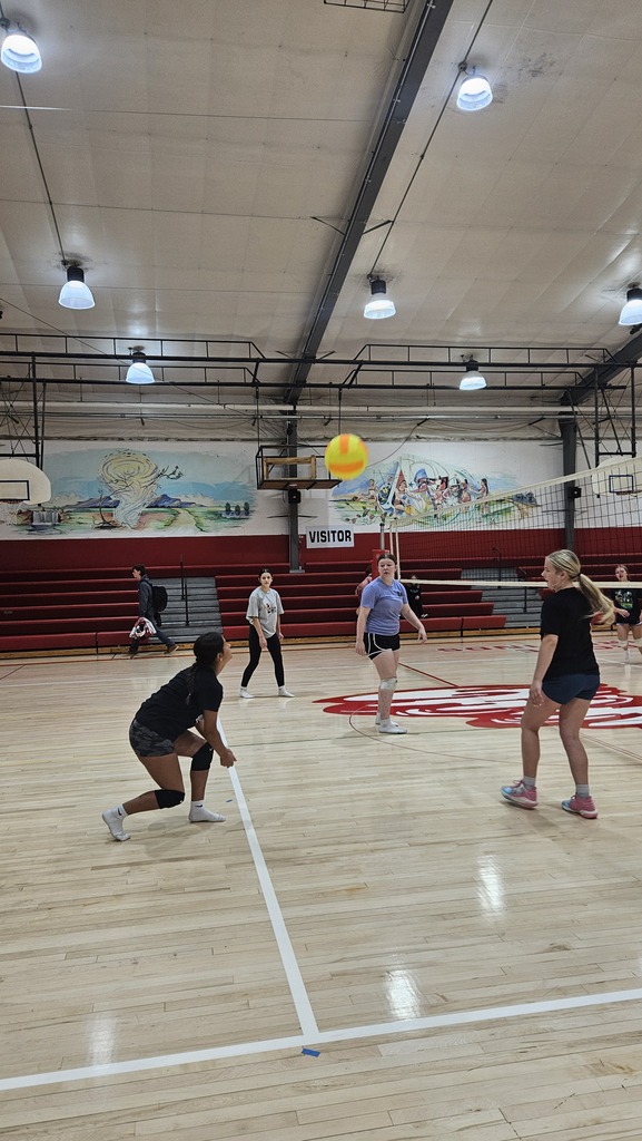 volleyball 
