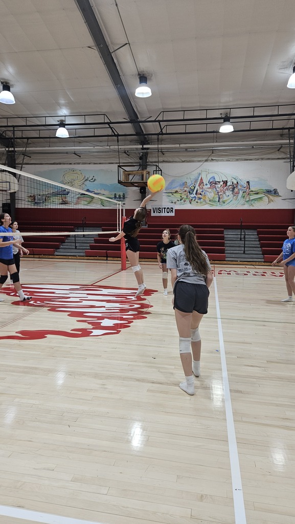 volleyball 