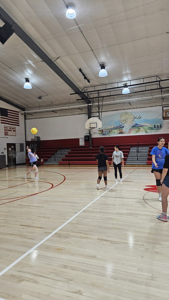 volleyball 