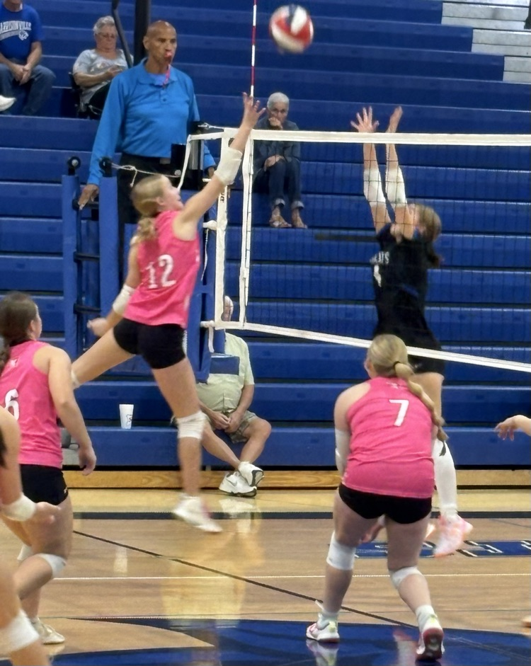 vb