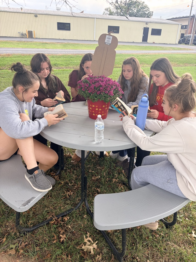 Novels Studies JH