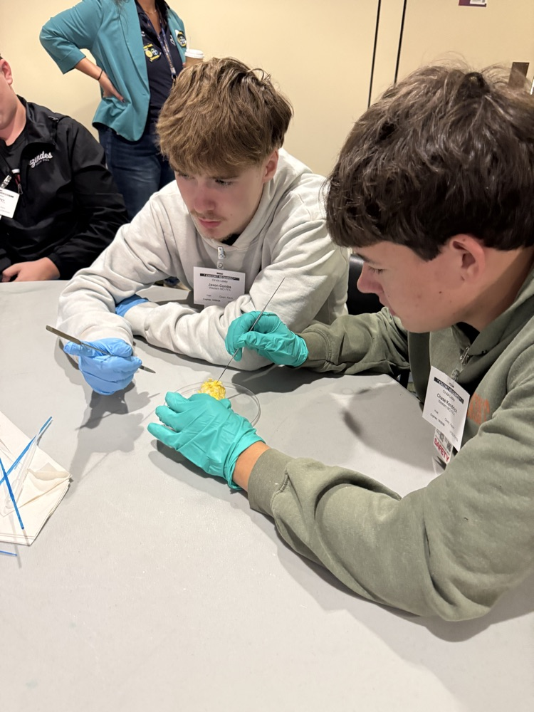 Extracting Embryos from Corn