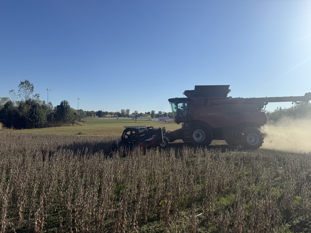 Harvesting School Farm 