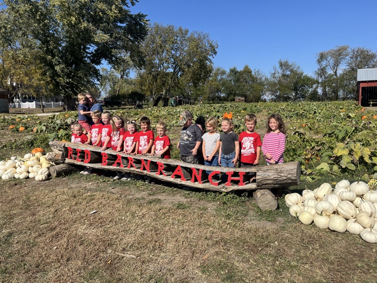 preschool trip to the pumpkin patch 