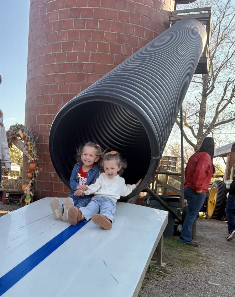 preschool trip to the pumpkin patch 