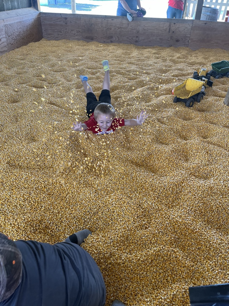 preschool trip to the pumpkin patch