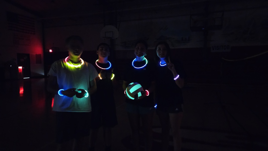 volleyball 