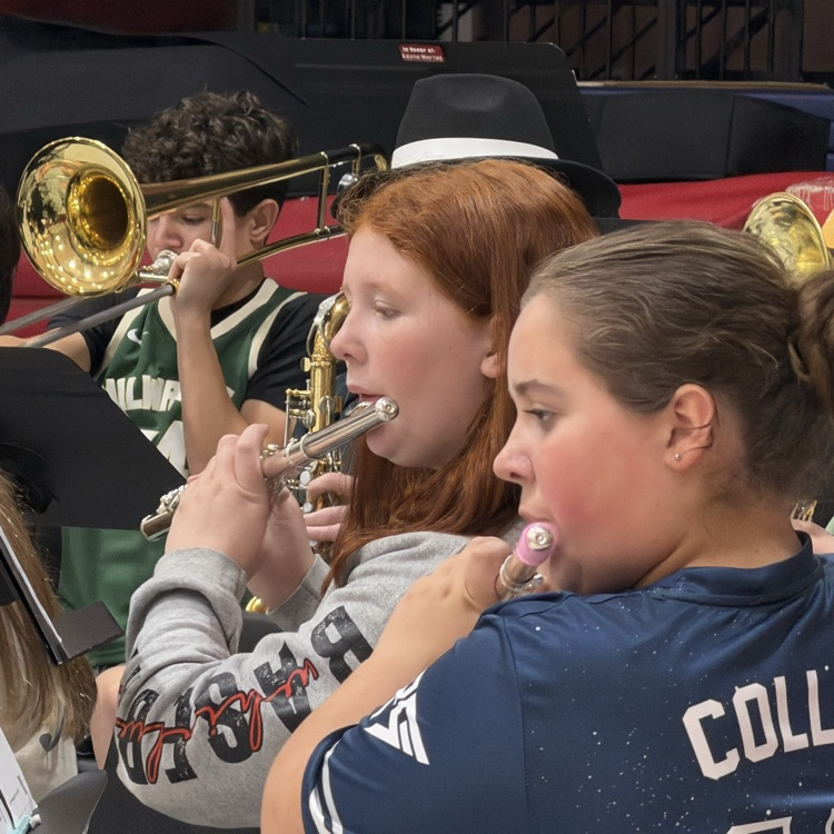 concert