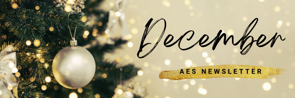 Beige Neutral Gold December Newsletter Winter Banner Email Header