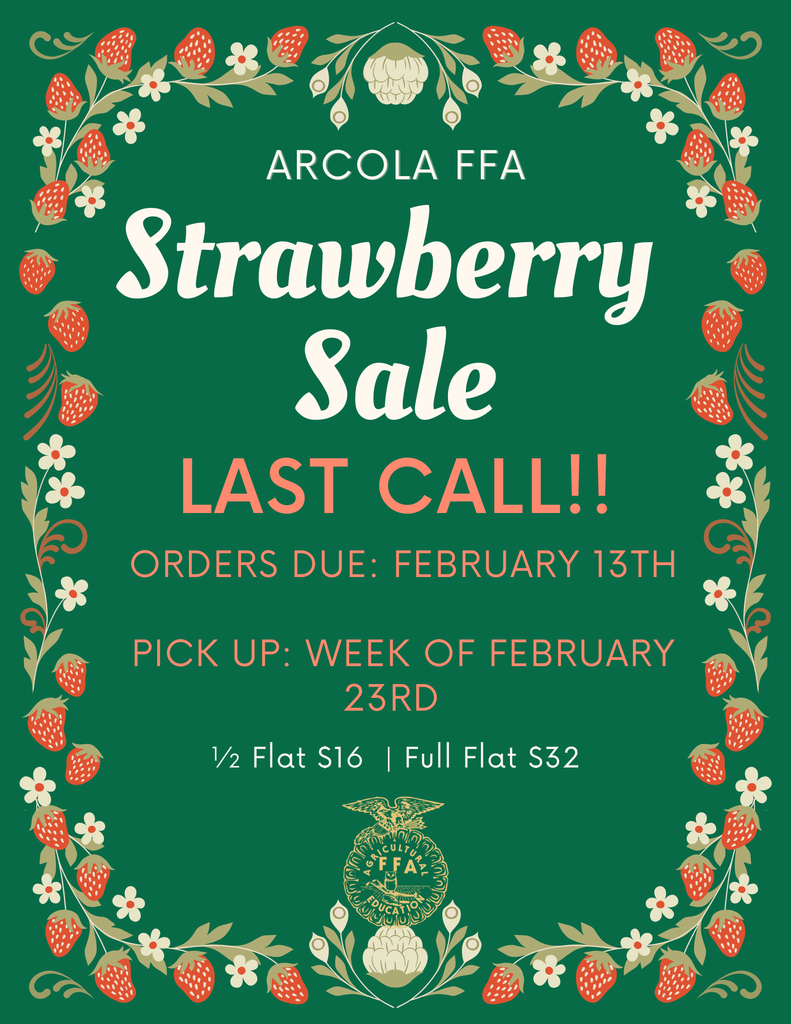 Arcola FFA strawberry sale (1)