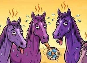 purple horses in a heat wave