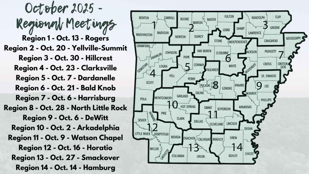 2025 Regional Meetings