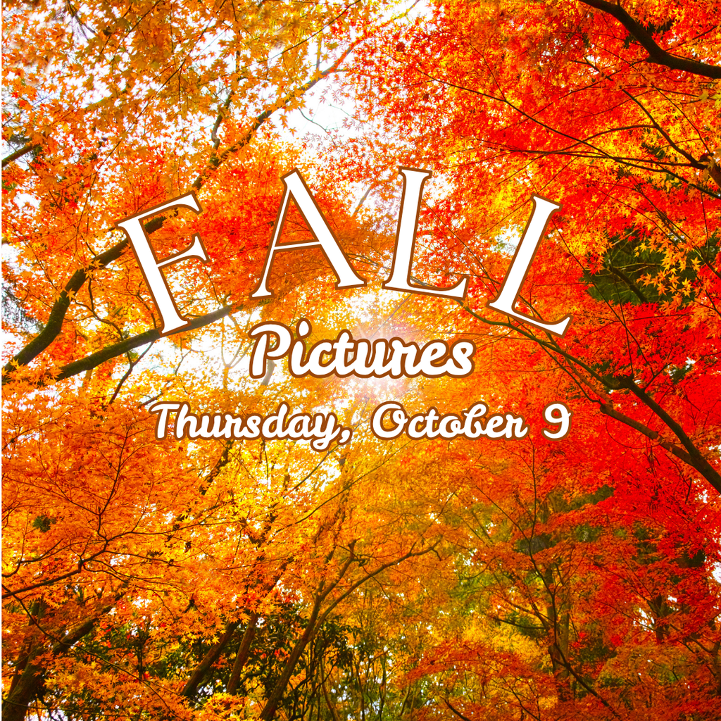 School Fall Pictures