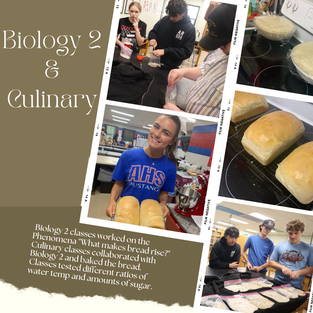 Bread CulinaryBiology