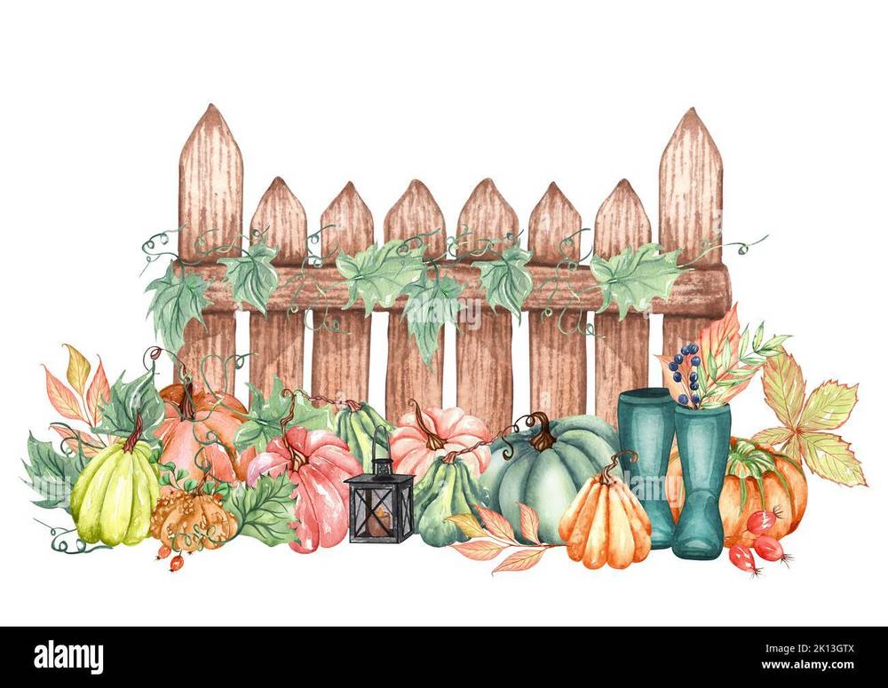 white background with fence and gourds