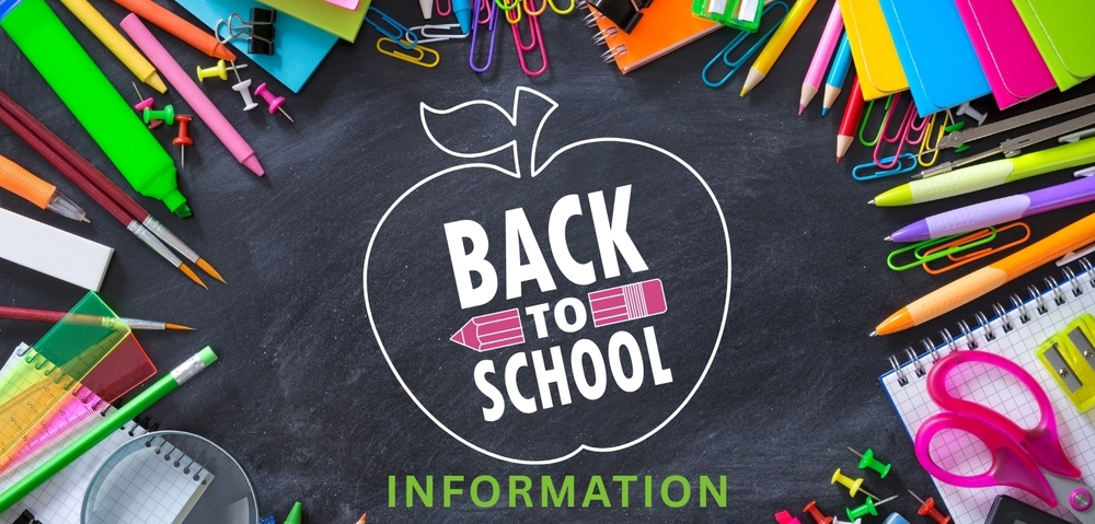Back to School Graphic - Decorative