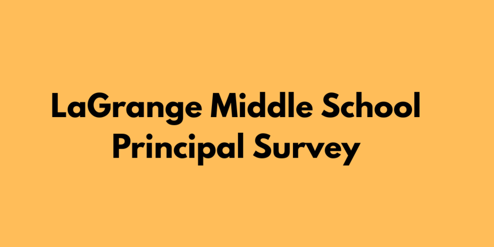 LMS Principal Survey graphic: decorative only