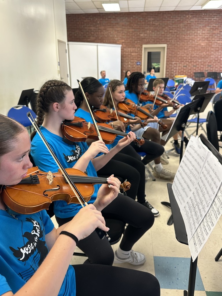 UVMS Orchestra at Music in the Parks Festival