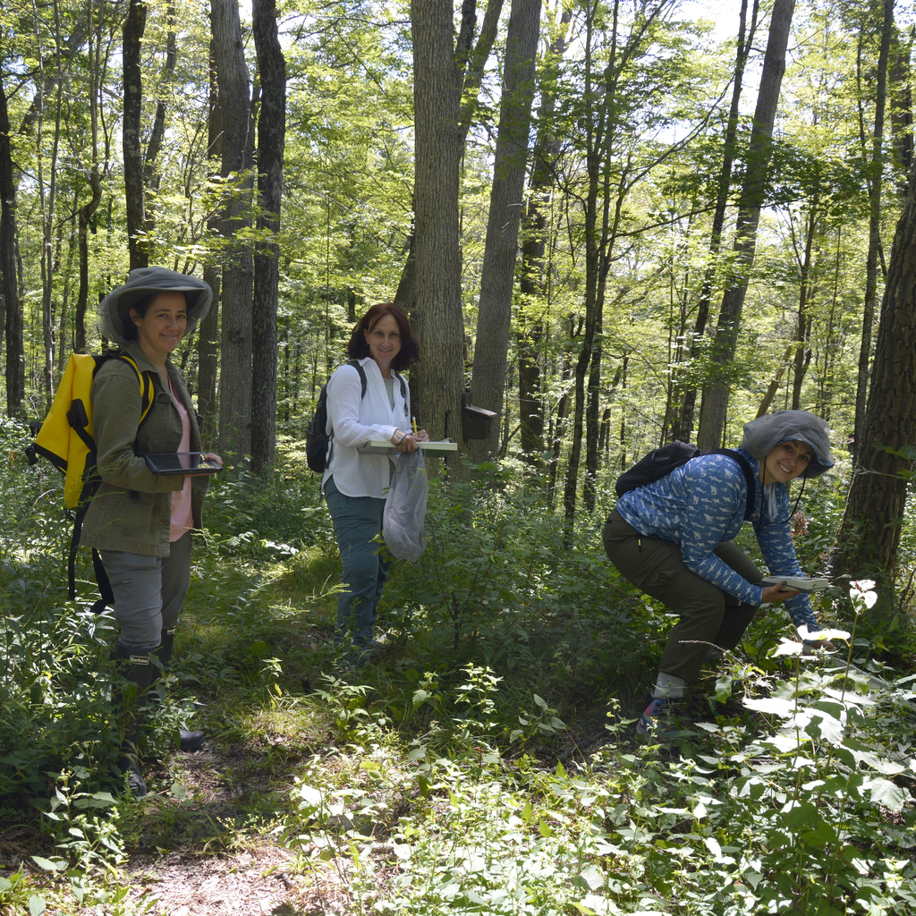 Teachers participating in the Cary Institute BIORETS program, Tricia Muraco (center)