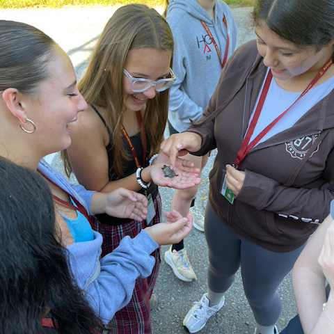 Mrs. Marden's Regent's Biology students take a look at a Blanding's turtle hatchling.